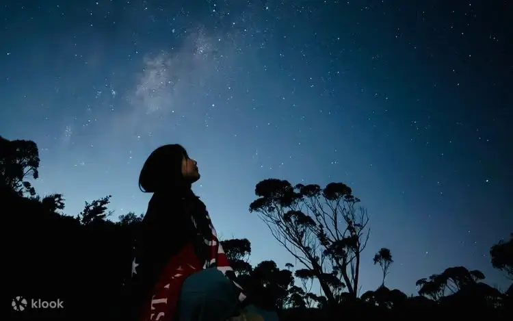 Stargazing at Norman Lindsay Gallery