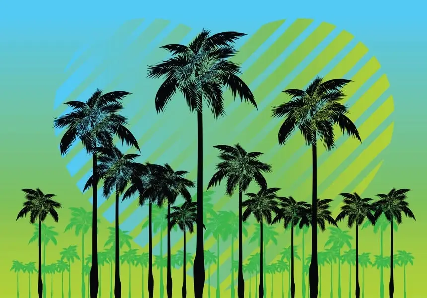 USA Dance: A Night in the Caribbean
