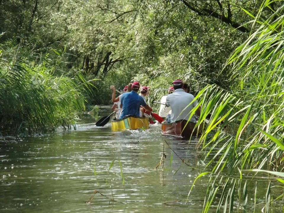 Kanotocht door de Biesbosch met begeleiding