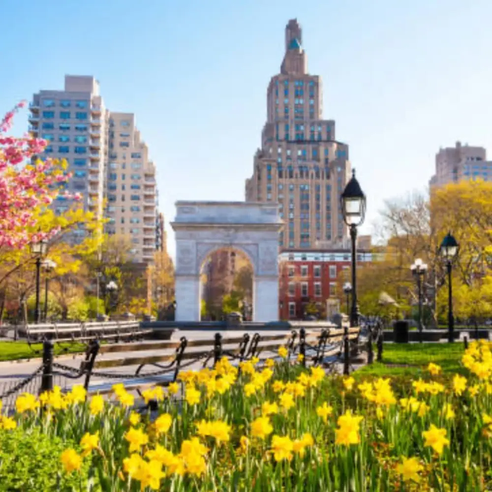 HCC - NY Spring Networking Happy Hour !