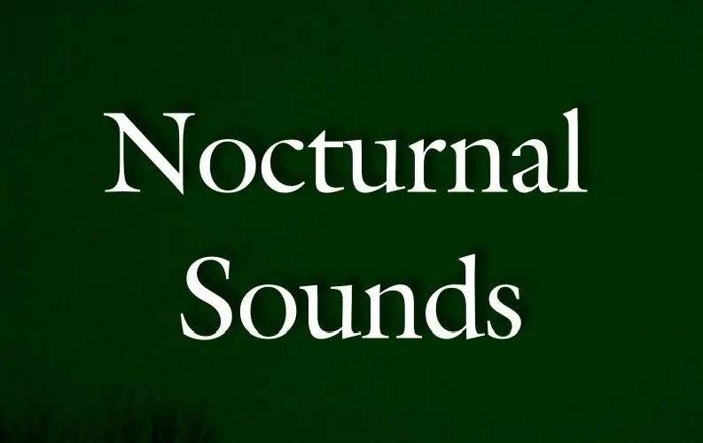 Nocturnal Sounds
