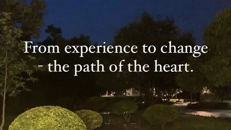Heartfulness meditasjon Torshov