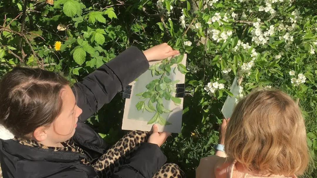 Familieworkshop fra 3 år - Vi arbejder med naturligt fotografi - cyanotypi