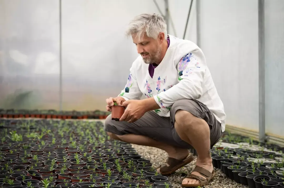 Komentovaná prohlídka Levandulového statku Bezděkov