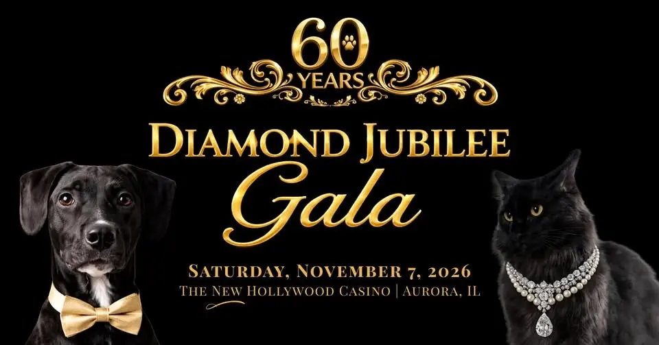 2026 Diamond Jubilee Gala: Celebrating 60 Years of Compassion