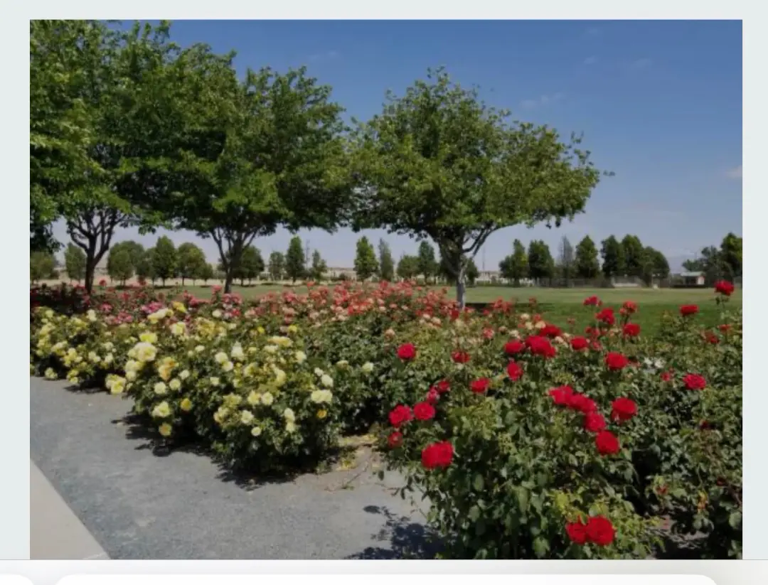 💐 Visit, Walk & Coffee/ Lunch at the National Botanic Gardens, Glasnevin.