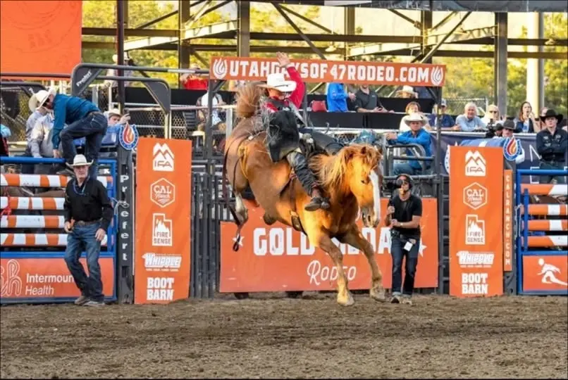 CHURROMAZING at DAYS OF 47 RODEO - @Utah State Fairgrounds