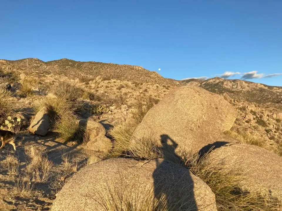 Hilarious Thursday #4 - Whitewash Repeats (Menaul Trailhead)