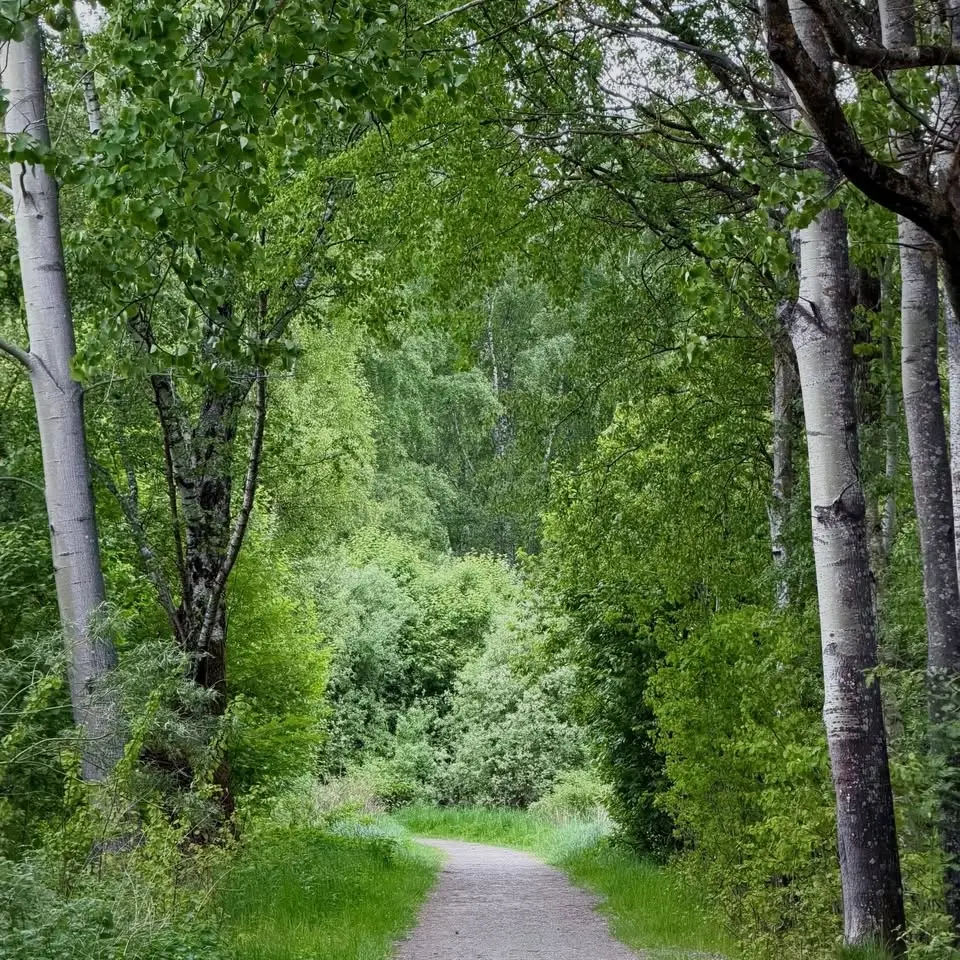Pilgrimsvandringar med Fredrik 10, 17 och 24 juli 2026