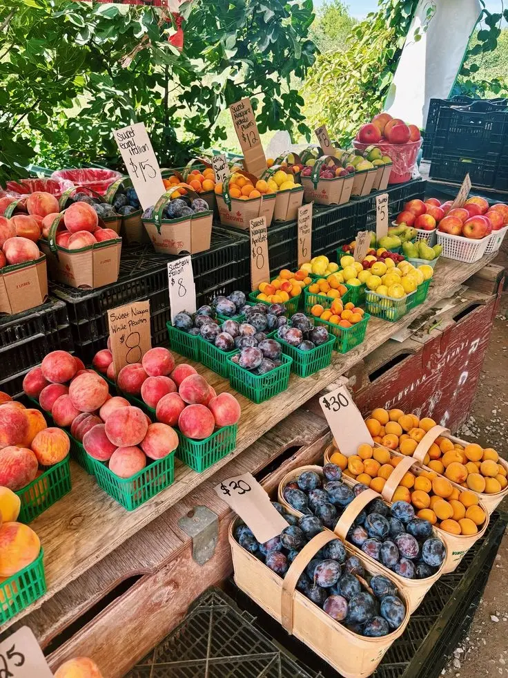 Creatives Farmers Market Walk