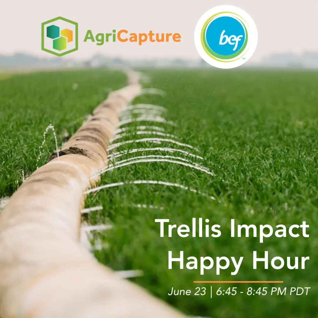 Water, Ag and Cheers Happy Hour