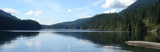 BEGINNER'S SUP DAY - Recovery Practice + BBQ Potluck