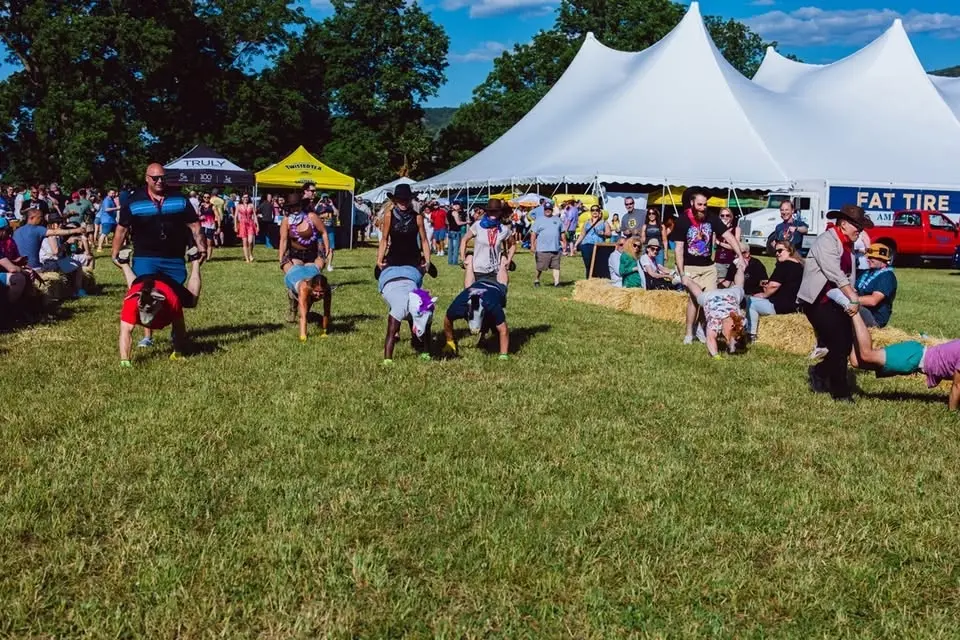 NJ Beer and Food Festival