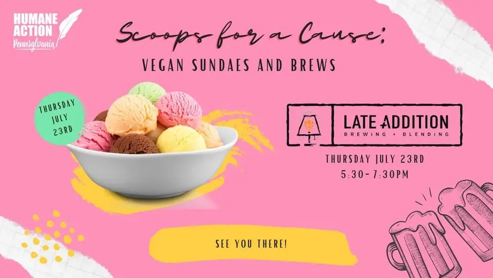 Scoops for a Cause