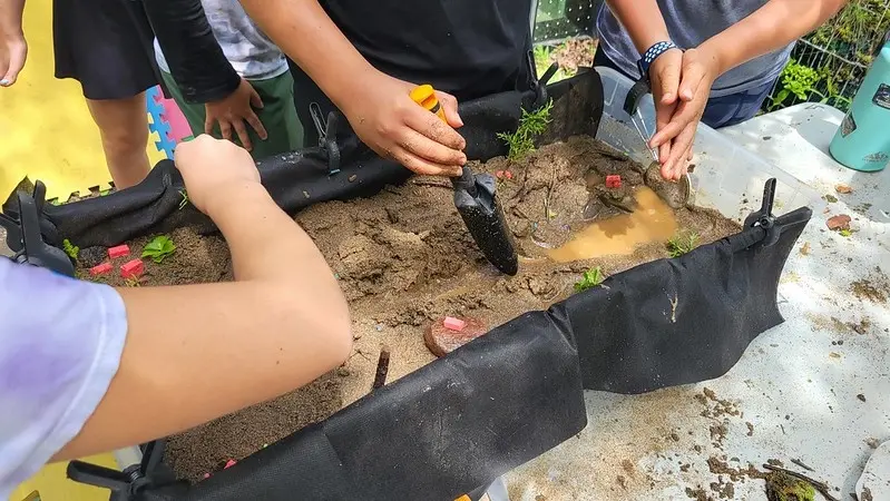 Roots of STEM Week: Eco-engineers | Summer Nature Day Camp