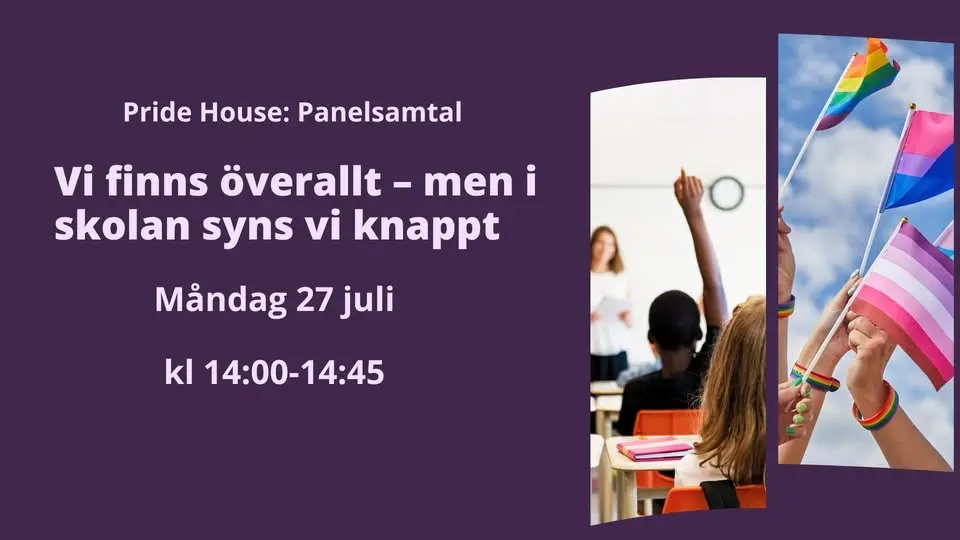 Panelsamtal: Vi finns överallt – men i skolan syns vi knappt 
