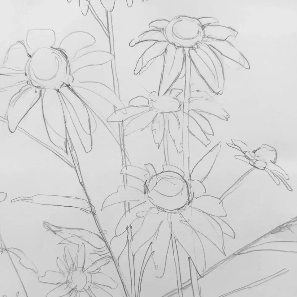 Kid's Art Class: Drawn to the Line- Learn how to draw contours