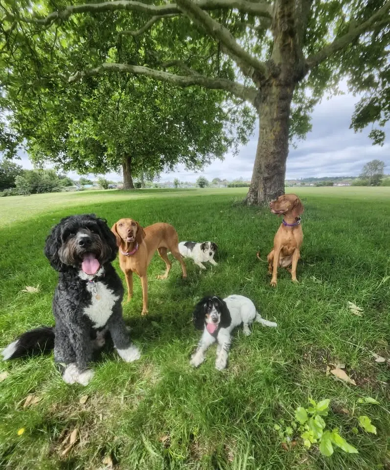 SUMMER 2026 GROUP WALK