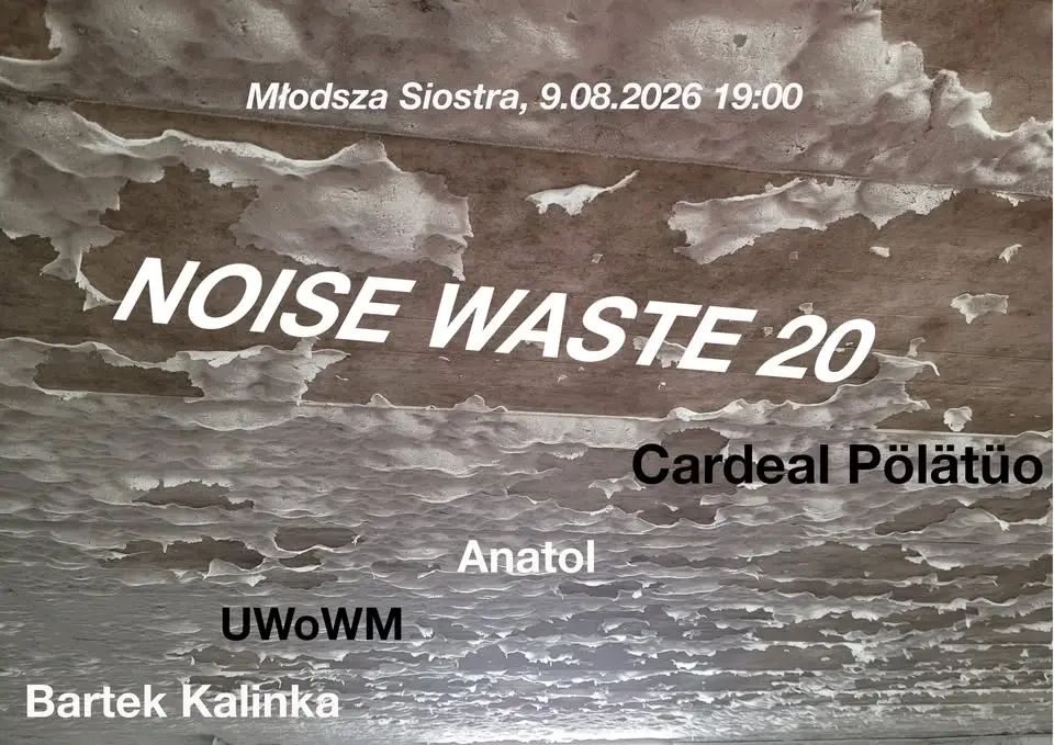Noise Waste 20