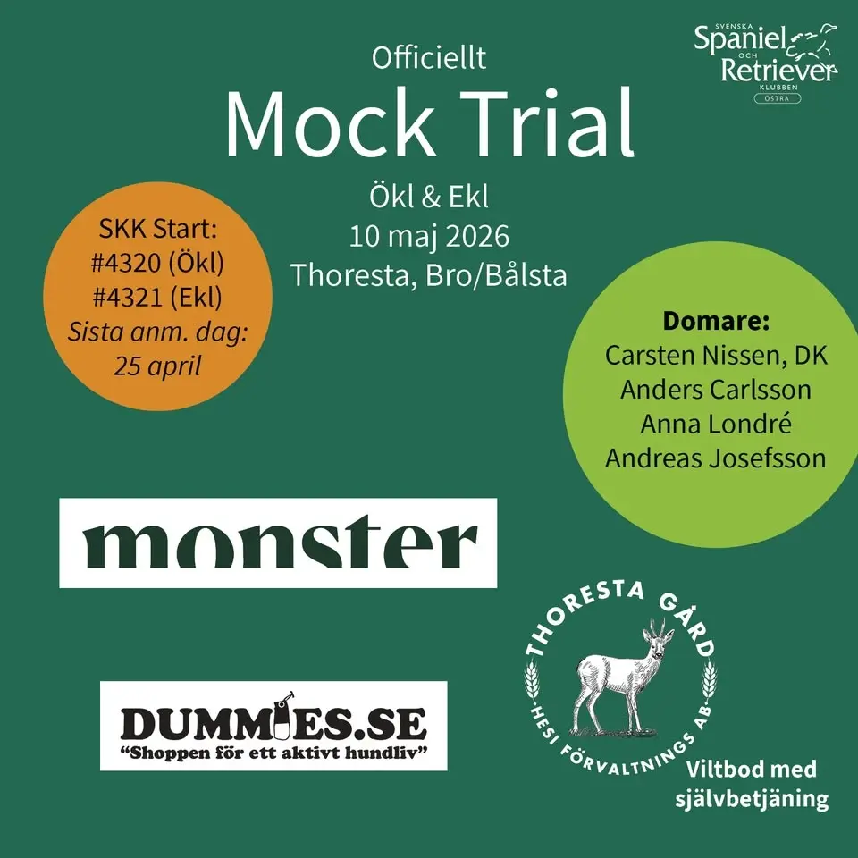 Mock Trial - Thoresta