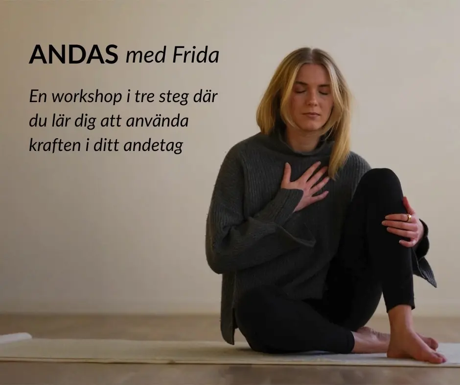 ANDAS med Frida - workshop #3