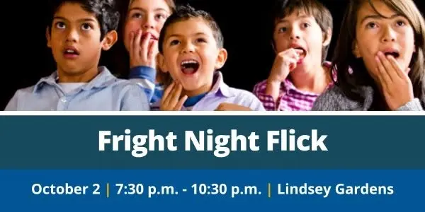 Fright Night Flick
