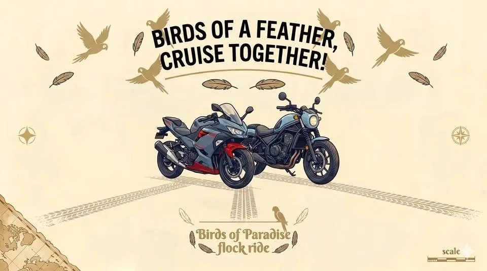 Birds of Paradise Flock Ride