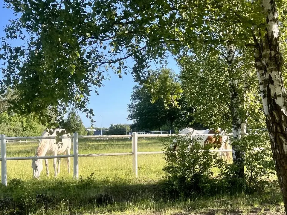 Välbefinnande                   Prova på