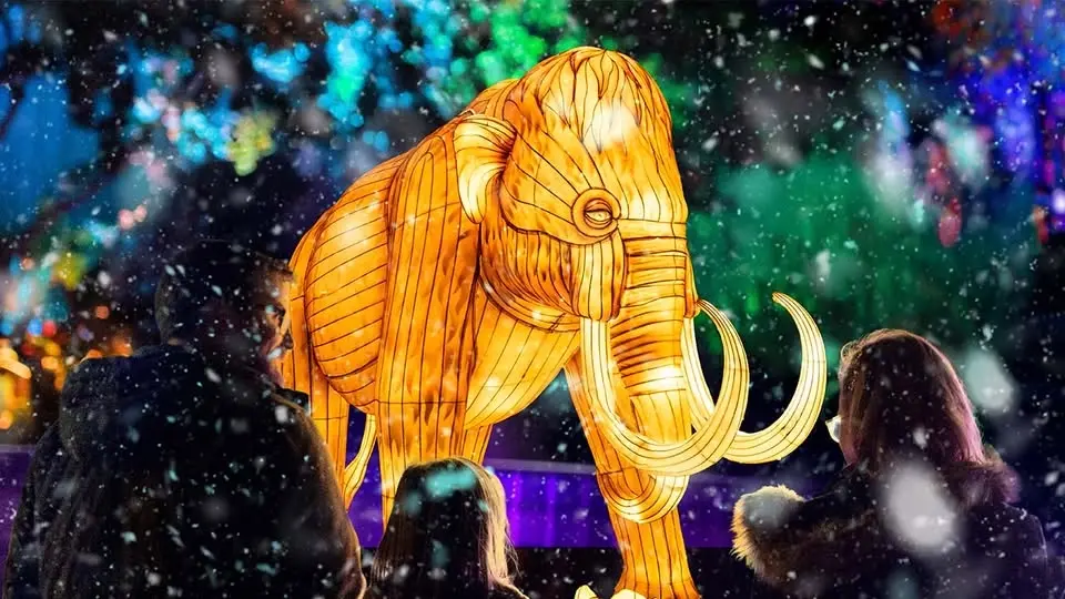 Universal Kingdom: Ice Age | Illuminate Adelaide