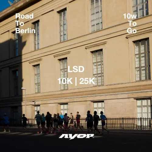 ROAD TO BERLIN: LSD 10K | 25K