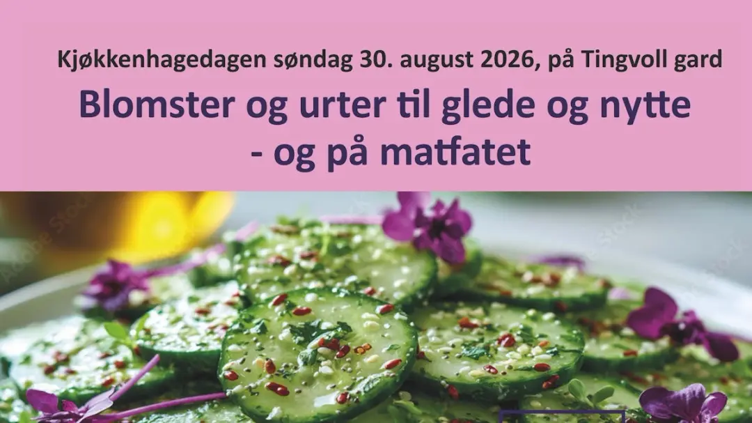 Blomster og urter til glede og nytte i hagen