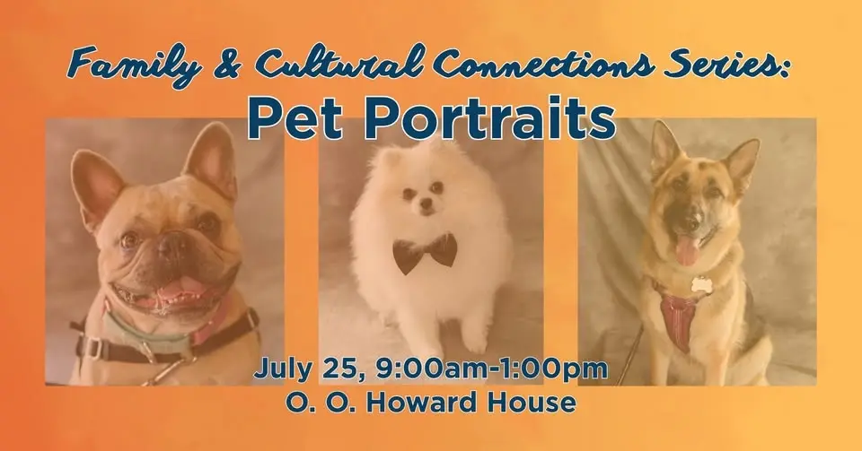 Pet Portraits