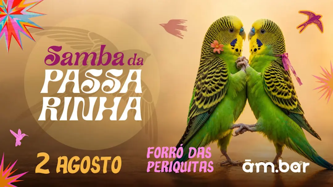 02/08: Samba Da Passarinha Especial Forró Das Periquitas