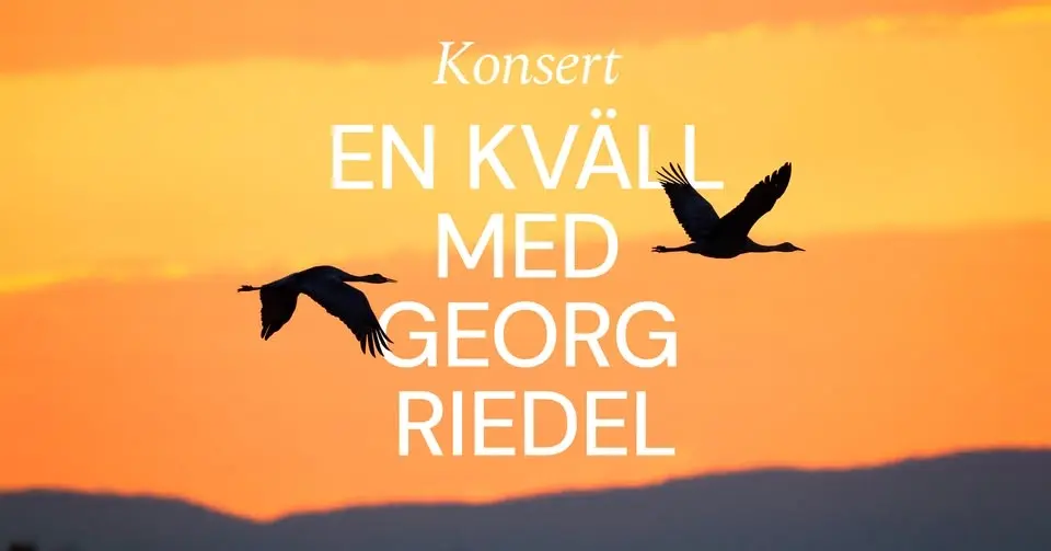 Konsert – En kväll med Georg Riedel
