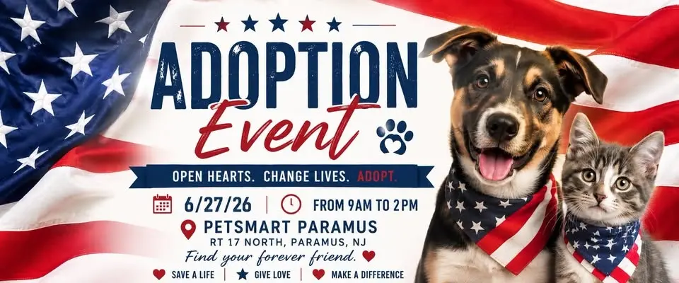 Pawsitively Furever Adoption Day