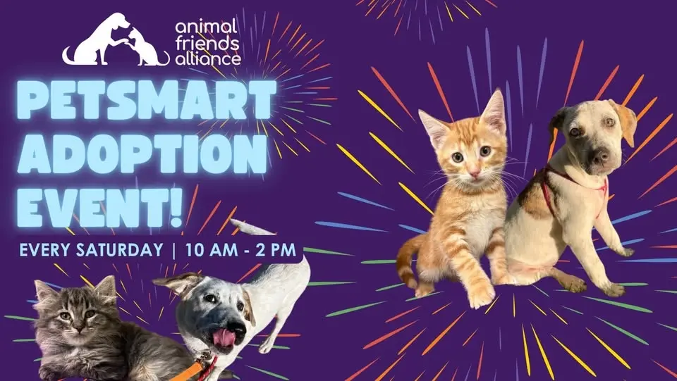 Adoption Event at PetSmart Fort Collins