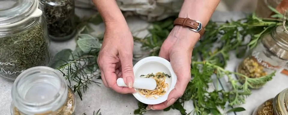 Winter Remedies from the Garden