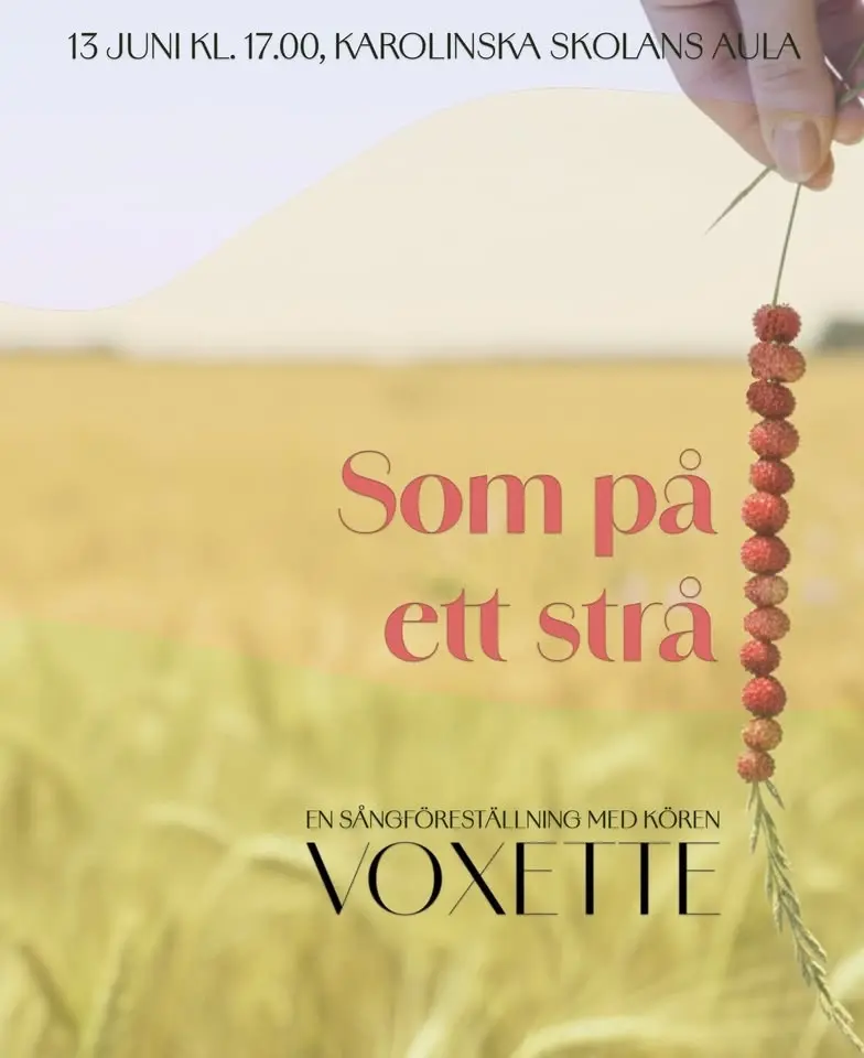 Som på ett strå - En sångföreställning med kören Voxette