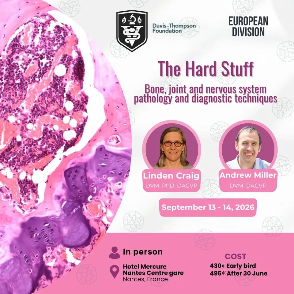 Davis Thompson Foundation European Symposium 2026 – ‘The Hard Stuff’