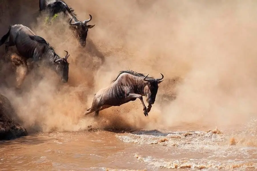 6-Day Tanzania Camping/lodge Safari