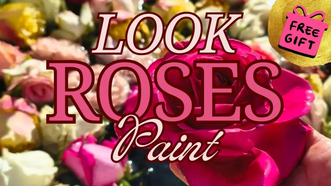 🌹Look ROSES and PAINT