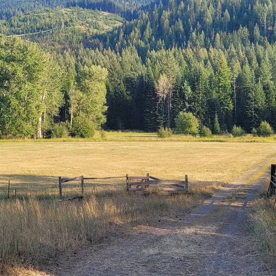 2026 Forest Owners Field Day