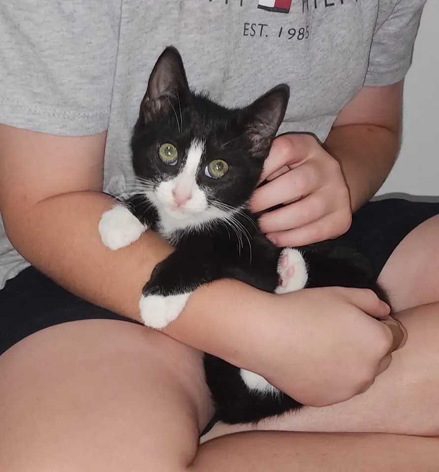 Shelly’s Place Adoption Day