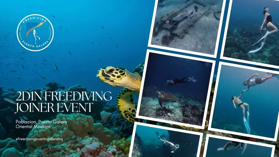 Freediving Puerto Galera 2d1n Event