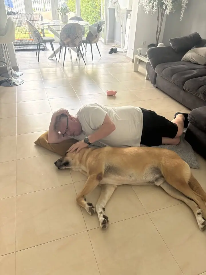 Birthday surprise 