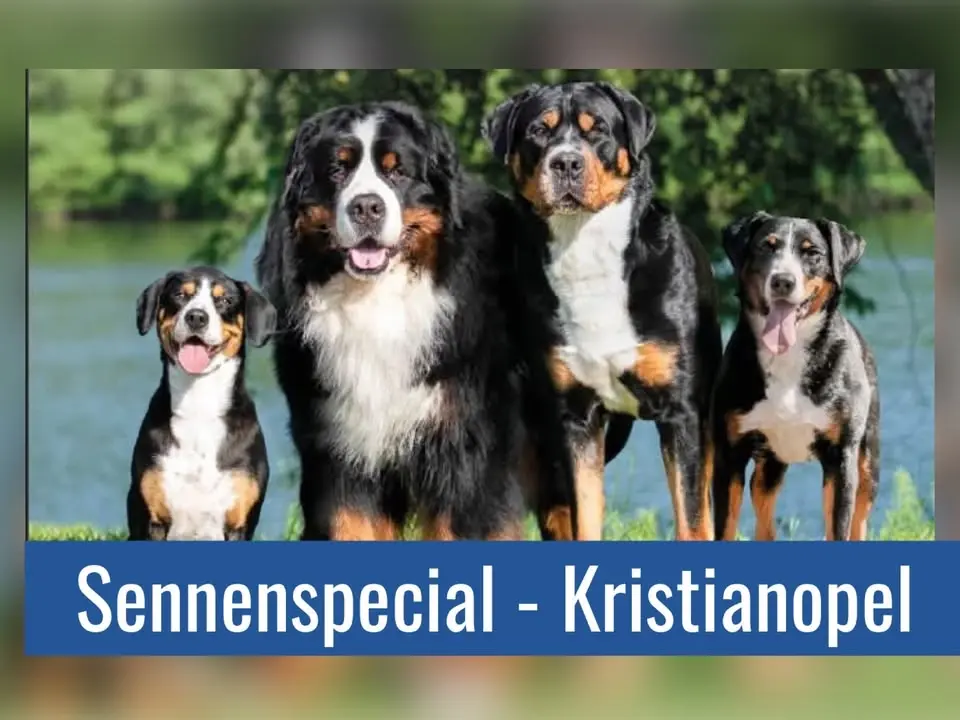 Sennenspecial - Kristianopel