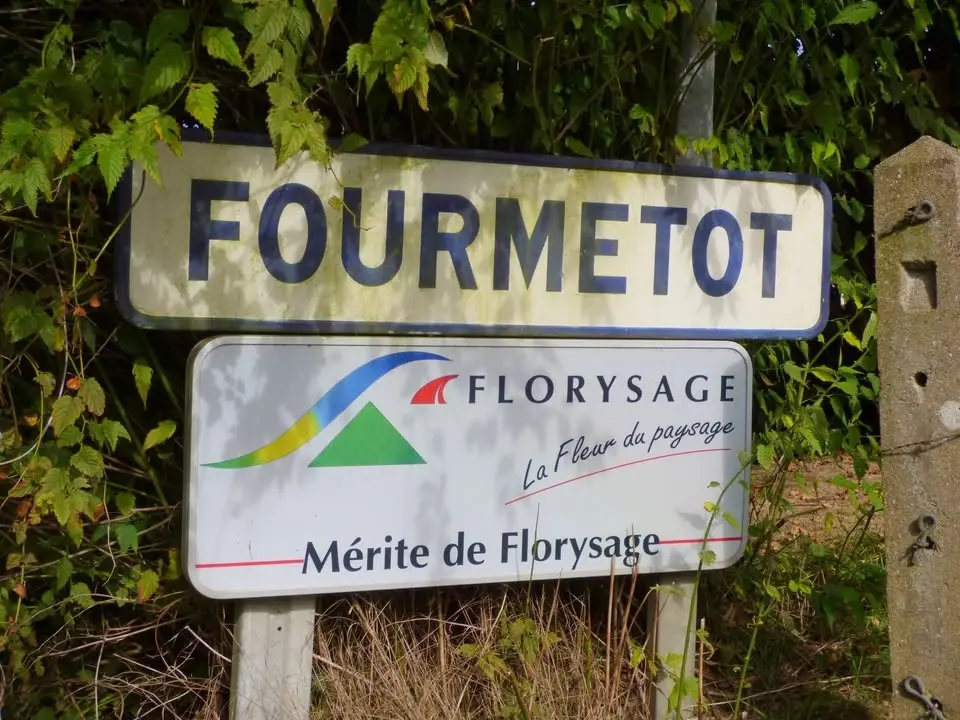 Le chemin des têtards.