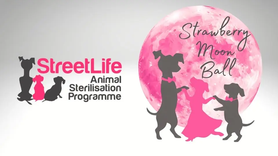 StreetLife Strawberry Moon Ball