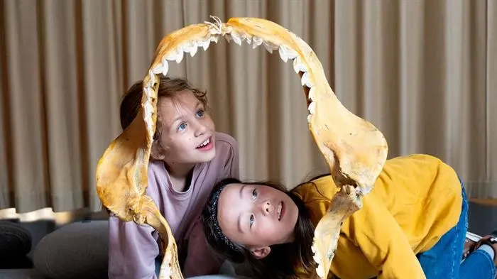 Shark Summer at the Natural History Museum