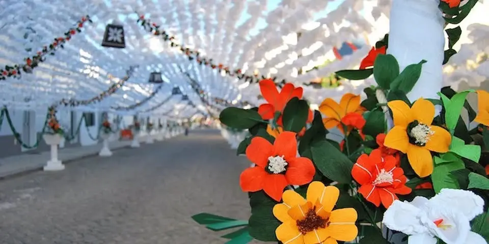 FESTA DAS FLORES | CAMPO MAIOR